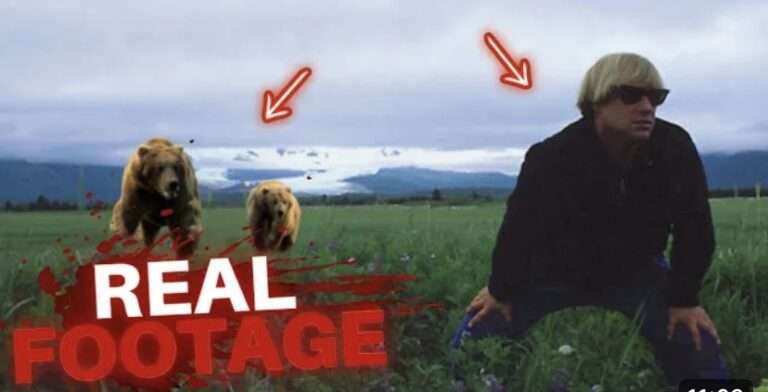 Timothy TreadWell Real Video: The Tragic End of Timothy Treadwell and His Girlfriend Amie Huguenard