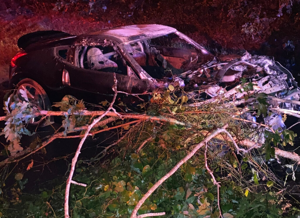 A charred and mangled sports car lies off the side of a road at night, with tree branches and foliage covering parts of the vehicle. The car shows signs of a fire and extreme impact.
